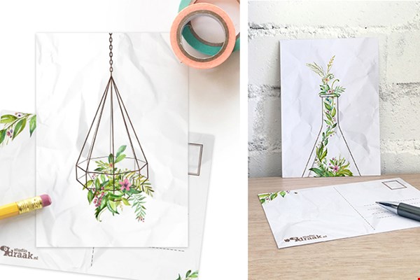 Overal (hang)plantjes, ook op papier! Overal (hang)plantjes, ook op papier!