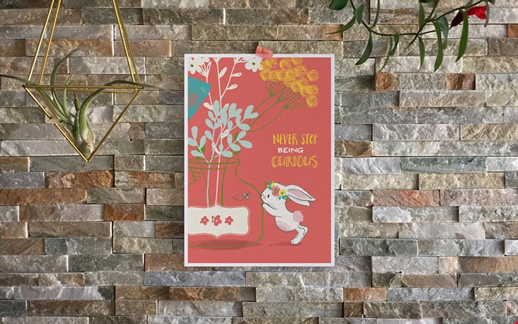 Bekijk de hele collectie van Studiodraak.nl, met zoveel aandacht gemaakt... Bekijk de hele collectie van Studiodraak.nl, met zoveel aandacht gemaakt...