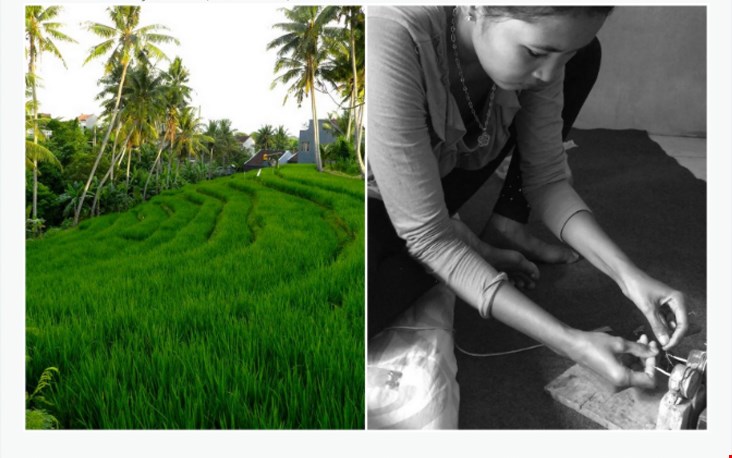 Duurzame productie op Bali, dat is wat Ronja wil Duurzame productie op Bali, dat is wat Ronja wil