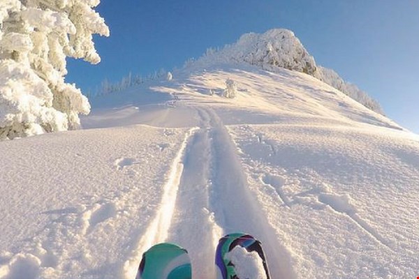 Wintersport time! Wintersport time!