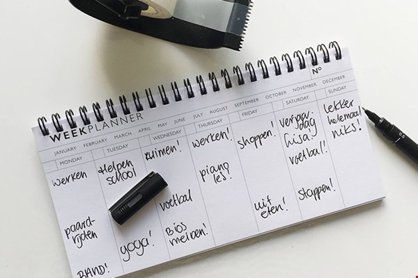 Mooie plannen... Mooie plannen...