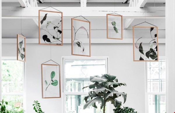 Het geeft een dromerig effect zo door het licht. Het geeft een dromerig effect zo door het licht.