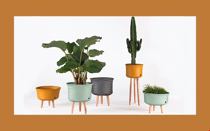 Groen in huis Groen in huis