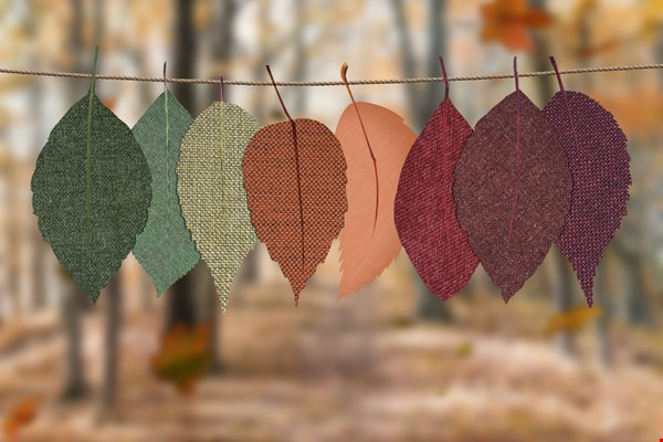 Hallo herfst! Hallo herfst!