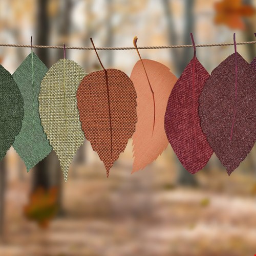 Hallo herfst! Hallo herfst!