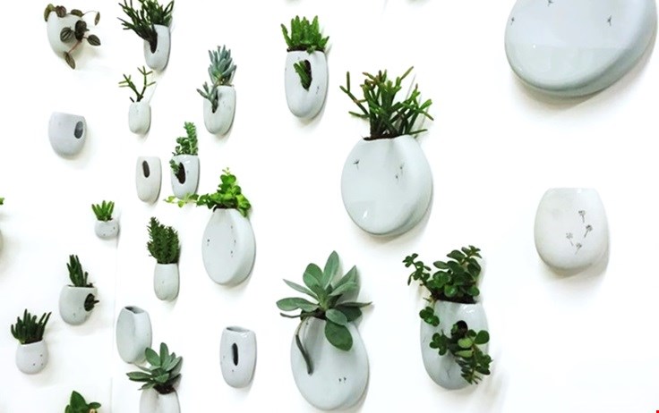 Groen aan je muur Groen aan je muur