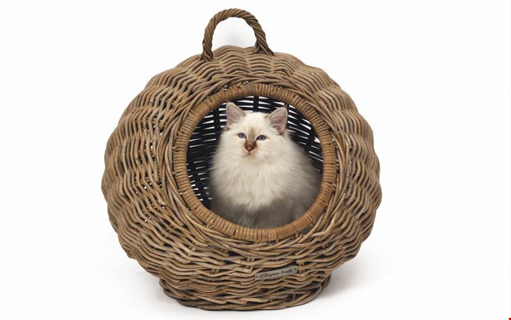 Kijk eens wat cute, deze rotan kattenmand is wel echt een leukerd! Kijk eens wat cute, deze rotan kattenmand is wel echt een leukerd!