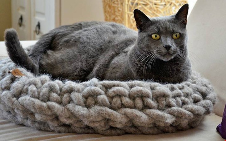 Deze wollen kattenmand ziet er zo heerlijk uit, ik zou er haast zelf in gaan liggen! Deze wollen kattenmand ziet er zo heerlijk uit, ik zou er haast zelf in gaan liggen!