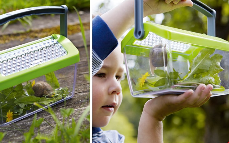 kriebelbeestjes kriebelbeestjes