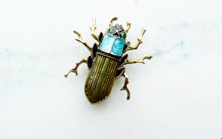 Prachtige broche Prachtige broche
