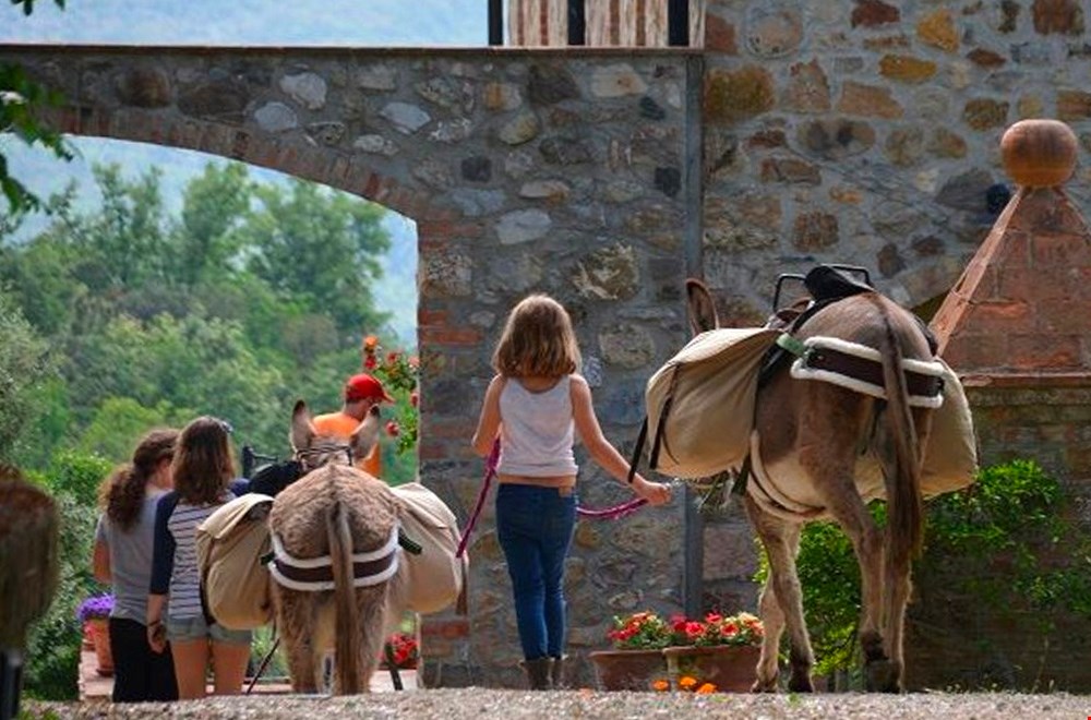 vakantie vieren met je kroost vakantie vieren met je kroost