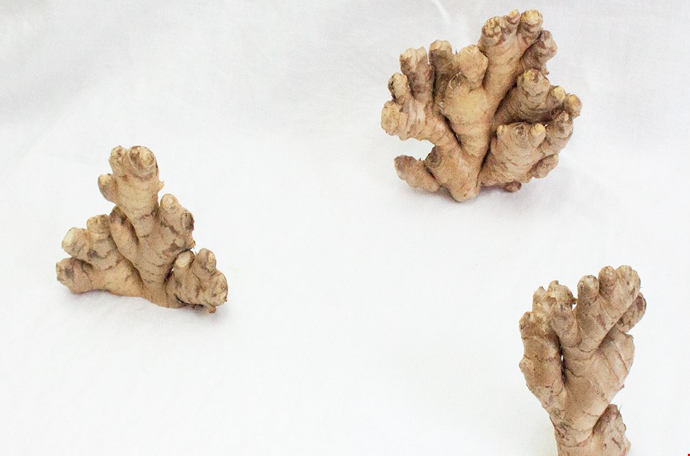 Cosmetica uit eigen keuken Cosmetica uit eigen keuken