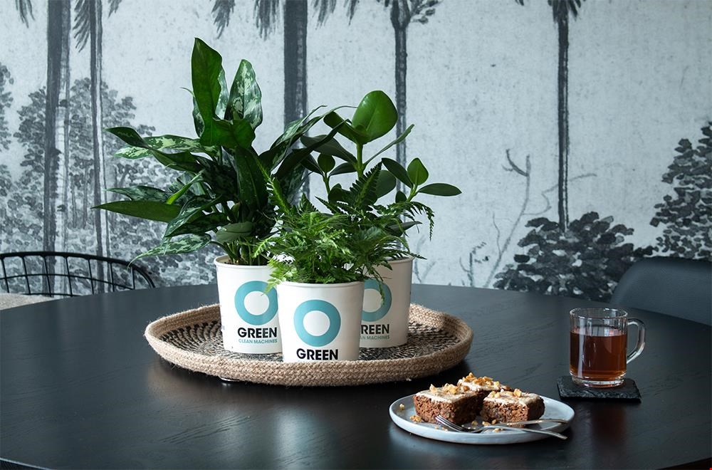 Fresh air met O'Green Fresh air met O'Green