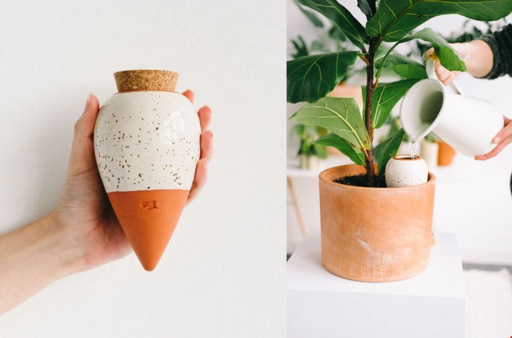 lichtenfijn.nl lichtenfijn.nl