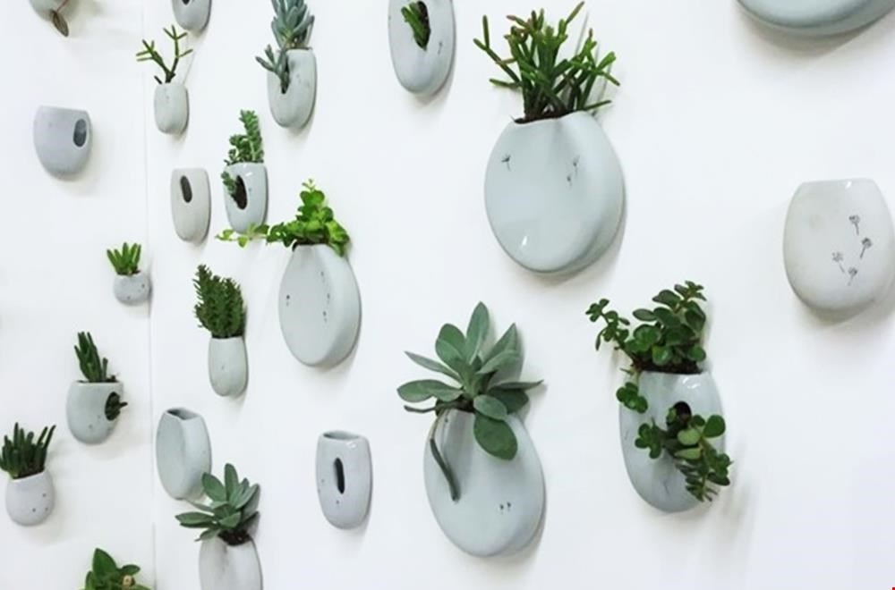 Recycle wandvaasjes! Recycle wandvaasjes!