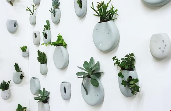 Recycle wandvaasjes! Recycle wandvaasjes!