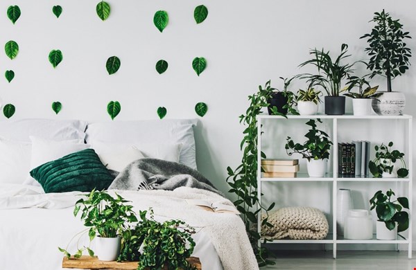 Frisse lucht happen in huis! Frisse lucht happen in huis!