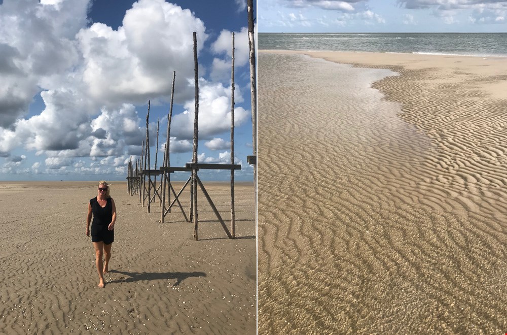 Wat een prachtig natuurgebied... Wat een prachtig natuurgebied...