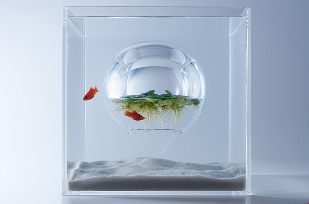 Je blijft ernaar kijken... Je blijft ernaar kijken...