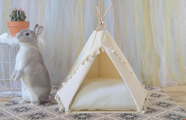 Glamping voor je konijn Glamping voor je konijn