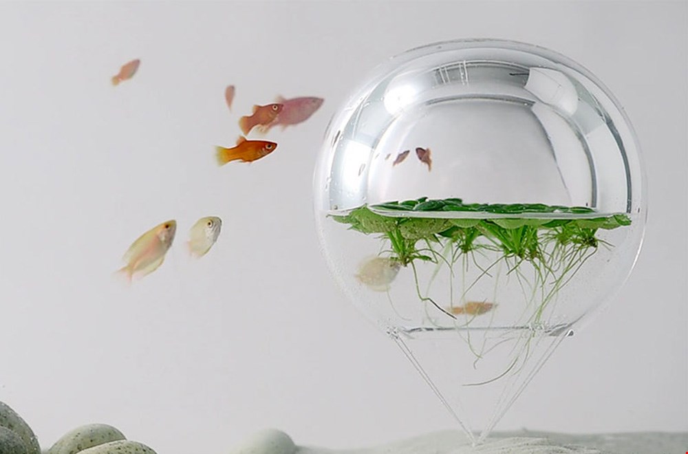 Bijna surrealistisch Bijna surrealistisch