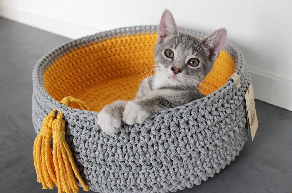 Hoe stylish Hoe stylish