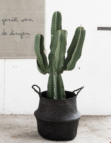 Plantenpot... Plantenpot...