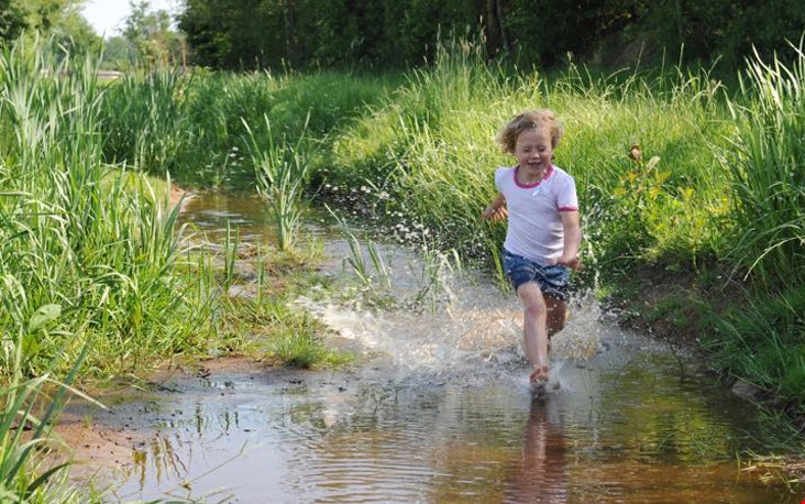 Loop door water, modder en gras Loop door water, modder en gras
