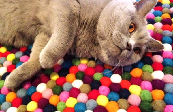 Bolletjeskleed Bolletjeskleed