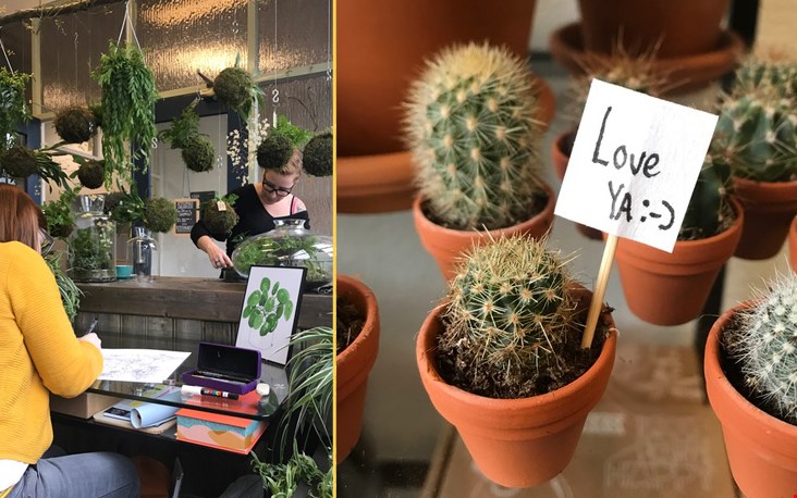 Veel groen en een flinke dosis creativiteit Veel groen en een flinke dosis creativiteit