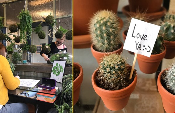 Veel groen en een flinke dosis creativiteit Veel groen en een flinke dosis creativiteit