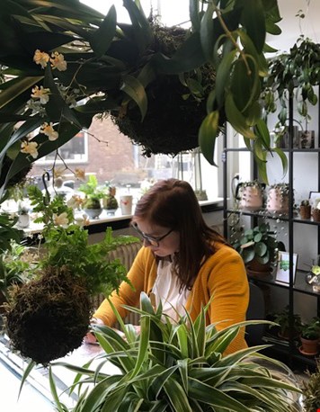 Miranda tussen 't groen Miranda tussen 't groen