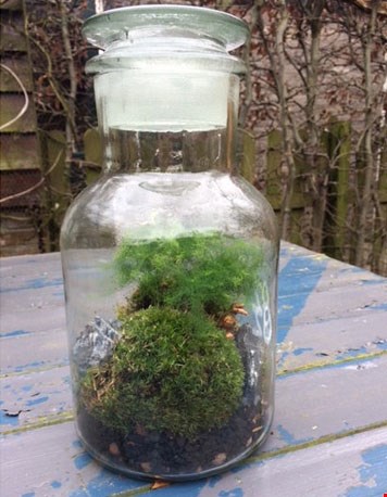Leuk, zo'n terrarium Leuk, zo'n terrarium