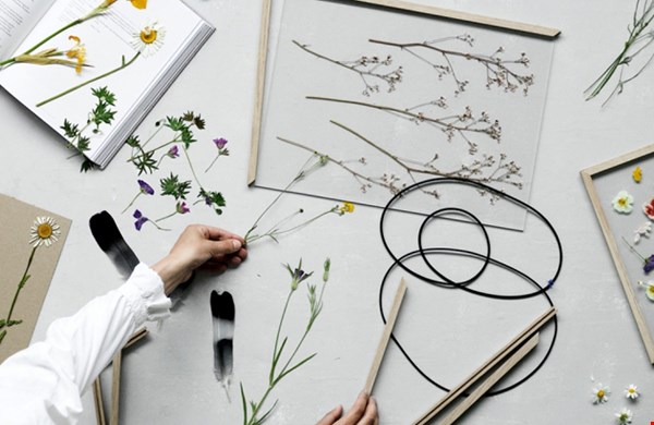 Do it yourself! Do it yourself!