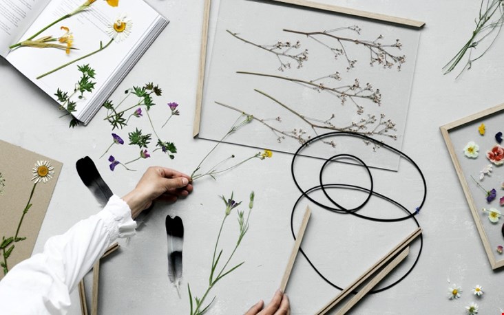 Do it yourself! Do it yourself!