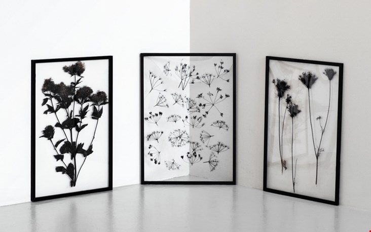 Strak in zwart Strak in zwart