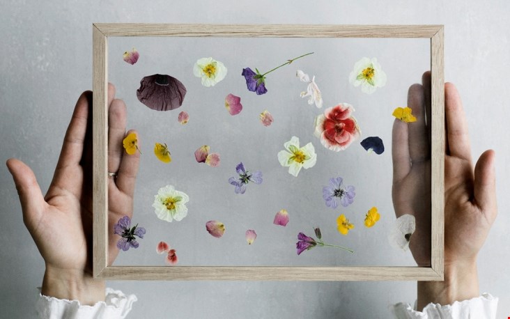 Mooi met lentebloemen Mooi met lentebloemen