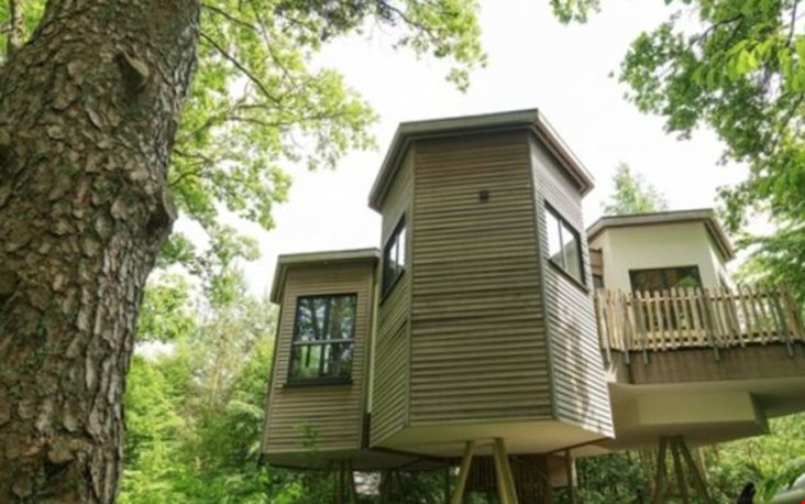 Glamping boomhuis Duitsland Glamping boomhuis Duitsland