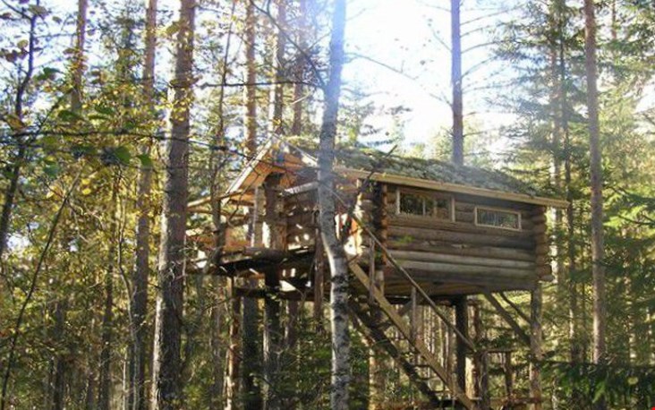 Glamping boomhut zweden Glamping boomhut zweden