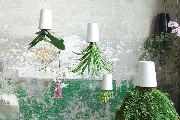 Skyplanter Skyplanter