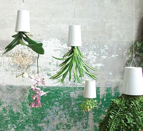 Skyplanter Skyplanter