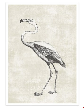 Poster flamingo Poster flamingo