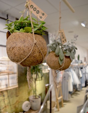 Kokosnoot bakjes uit Sri Lanka Kokosnoot bakjes uit Sri Lanka