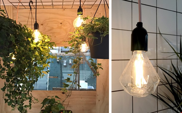 Lampen in 't groen Lampen in 't groen