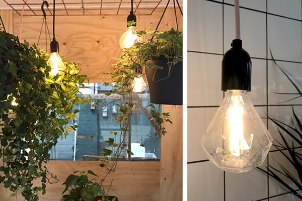 Lampen in 't groen Lampen in 't groen