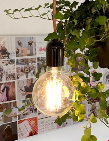 En hier aan het plantenrek En hier aan het plantenrek