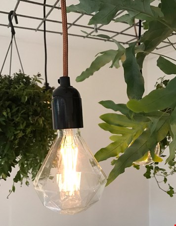 ...naar de studio ...naar de studio