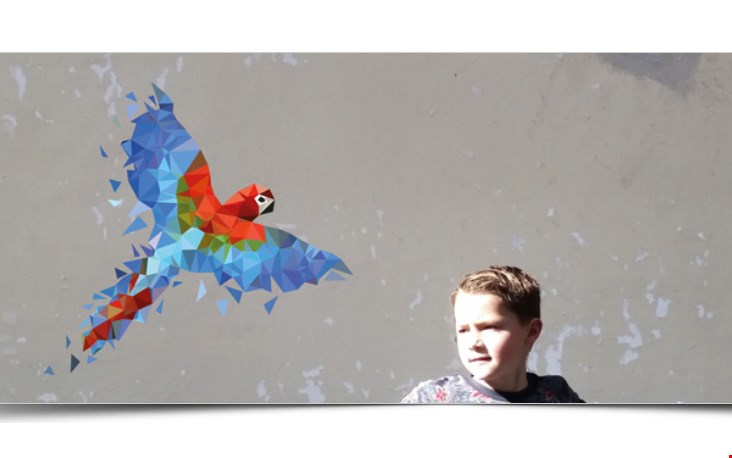 Diamond animals - papegaai Diamond animals - papegaai