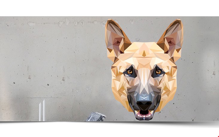 Diamond animals - herder Diamond animals - herder