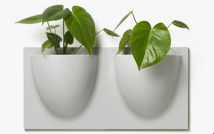 Maak eens een groene muur Maak eens een groene muur